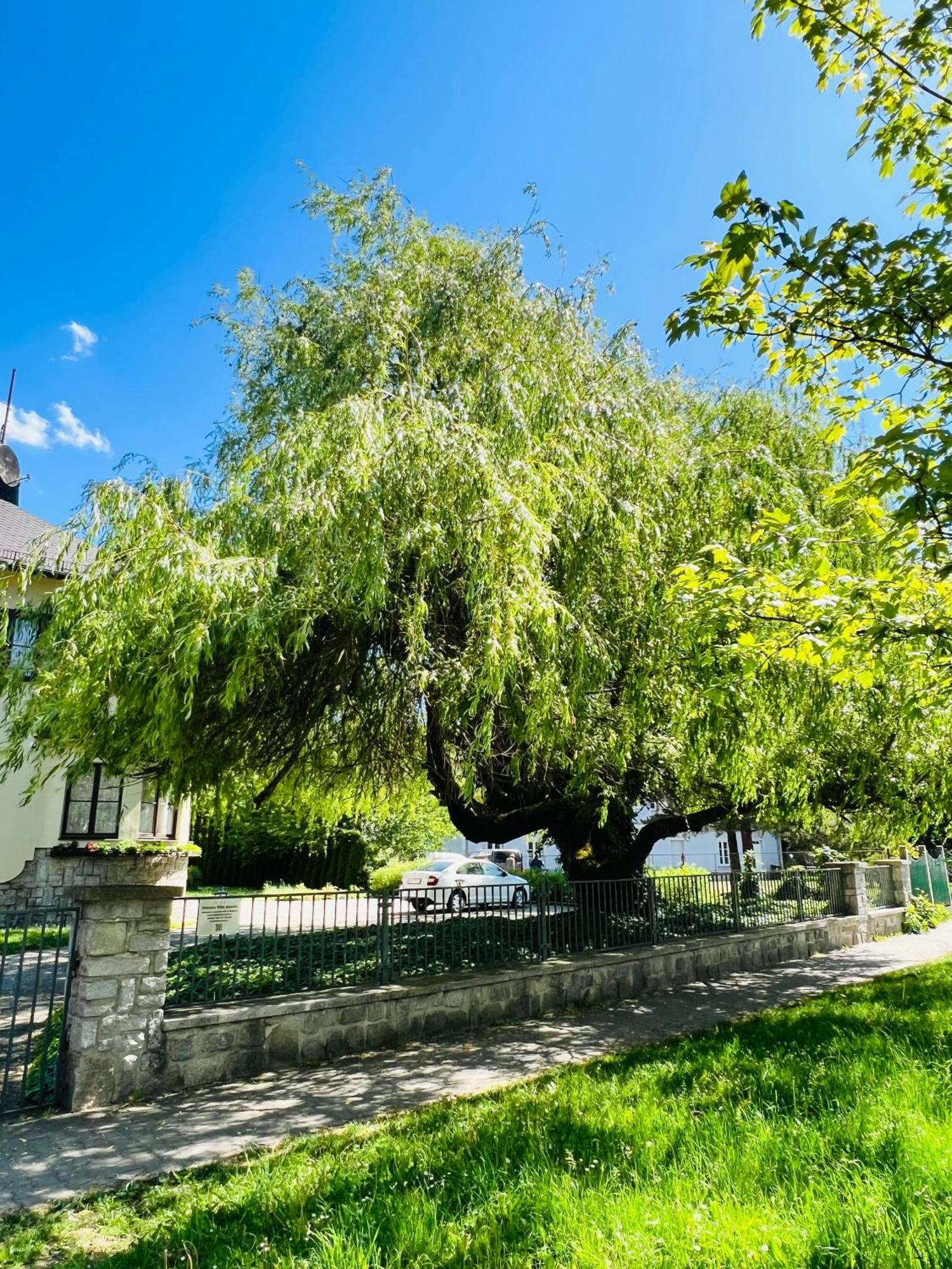 Penzion Villa Ancora Šumperk Exterior foto