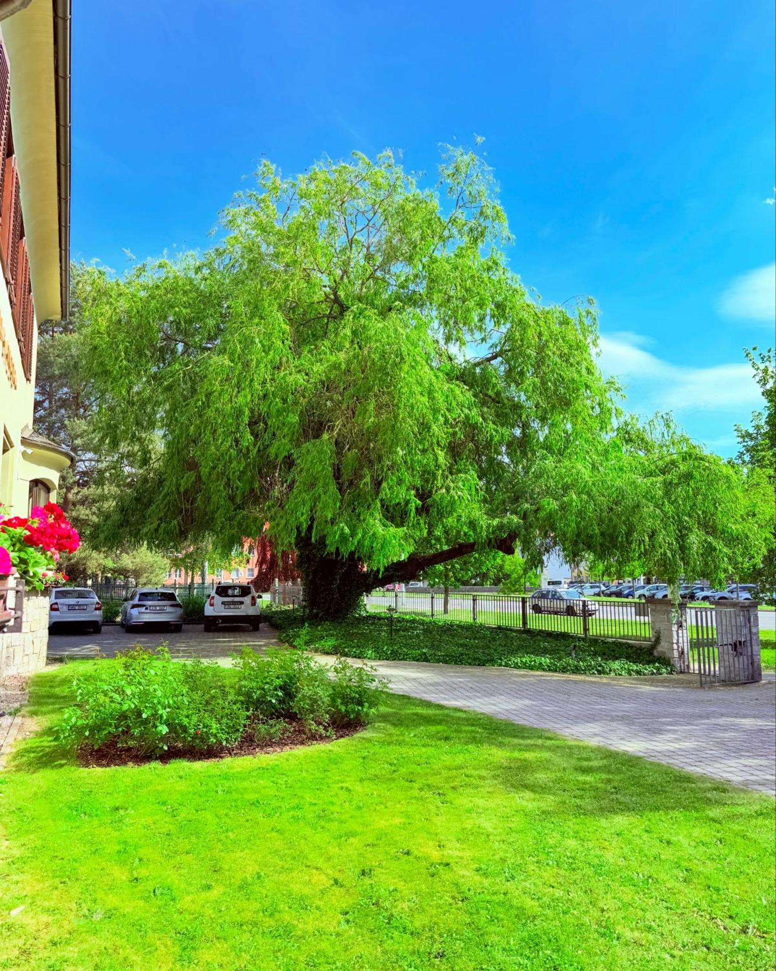 Penzion Villa Ancora Šumperk Exterior foto